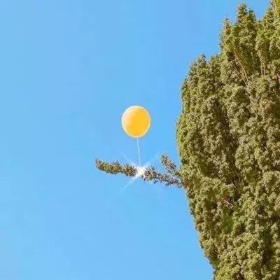 中国禁止AI公司Manus两名高管离境？外交部回应